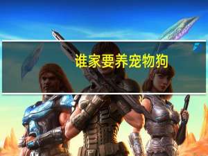 谁家要养宠物狗