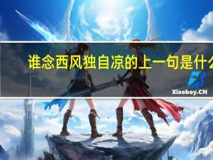 谁念西风独自凉的上一句是什么