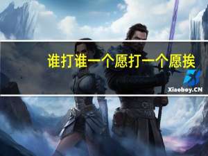 谁打谁一个愿打一个愿挨