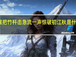 谁把竹杆击急流一声惊破初江秋是什么意思