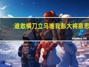 谁敢横刀立马唯我彭大将意思