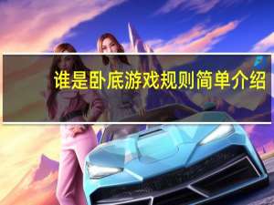 谁是卧底游戏规则简单介绍（谁是卧底 游戏规则）
