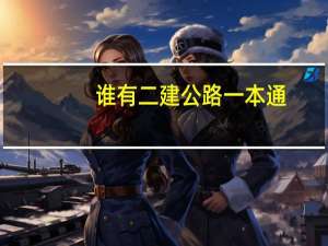 谁有二建公路一本通，能发一份吗