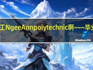 谁来介绍下义安理工Ngee Ann polytechnic啊~~~毕业后在新加坡的前景如何