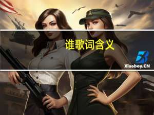 谁歌词含义（谁歌词）