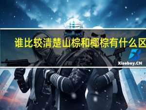 谁比较清楚山棕和椰棕有什么区别