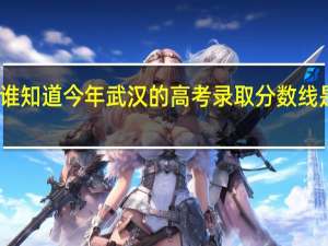 谁知道今年武汉的高考录取分数线是多少