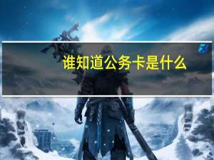 谁知道公务卡是什么