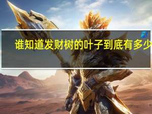 谁知道发财树的叶子到底有多少片