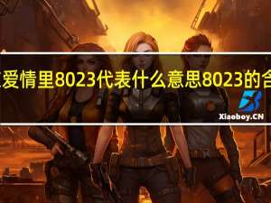 谁知道在爱情里8023代表什么意思 8023的含义是什么意思