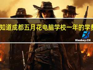 谁知道成都五月花电脑学校一年的学费是多少