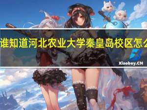 谁知道河北农业大学秦皇岛校区怎么样啊