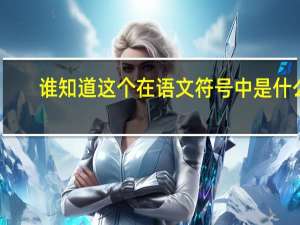 谁知道这个在语文符号中是什么