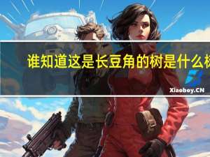 谁知道这是长豆角的树是什么树