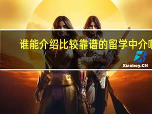 谁能介绍比较靠谱的留学中介啊