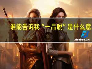 谁能告诉我“一品脱”是什么意思