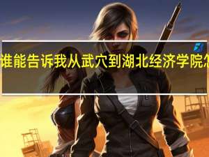 谁能告诉我从武穴到湖北经济学院怎么走