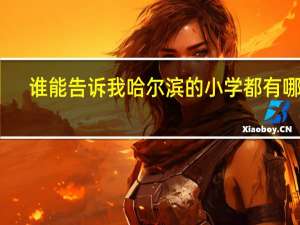 谁能告诉我哈尔滨的小学都有哪些