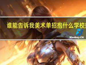 谁能告诉我美术单招抱什么学校好5