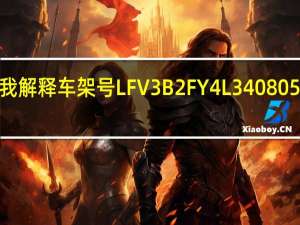 谁能帮我解释车架号LFV3B2FY4L3408058各代表什么