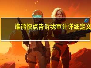 谁能快点告诉我审计详细定义