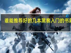 谁能推荐好的几本黑客入门的书籍啊，我只是对这个有点好奇，不拿来做坏事，平时没事的时候当个爱好学学