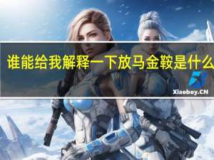 谁能给我解释一下放马金鞍是什么意思