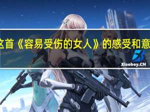 谁能谈谈对王菲这首《容易受伤的女人》的感受和意境 容易受伤的女人王菲