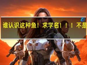 谁认识这种鱼！求学名！！！不是粘鱼，10