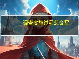 调查实施过程怎么写