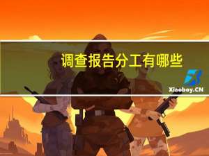调查报告分工有哪些