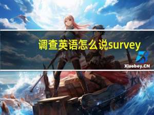 调查英语怎么说survey