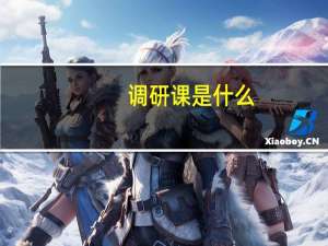 调研课是什么