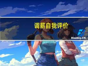 调薪自我评价