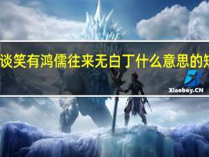 谈笑有鸿儒往来无白丁什么意思的短视频
