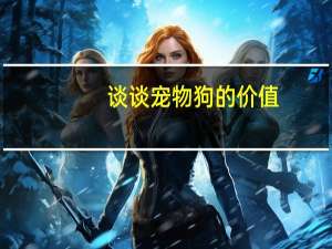 谈谈宠物狗的价值