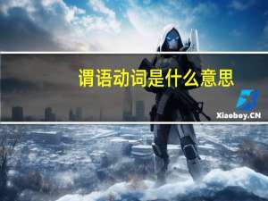 谓语动词是什么意思