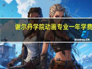 谢尔丹学院动画专业一年学费