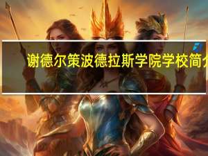 谢德尔策波德拉斯学院学校简介