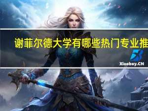 谢菲尔德大学有哪些热门专业推荐
