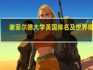 谢菲尔德大学英国排名及世界排名