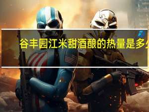 谷丰园 江米甜酒酿的热量是多少