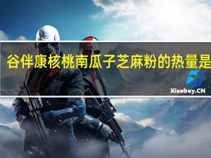 谷伴康 核桃南瓜子芝麻粉的热量是多少