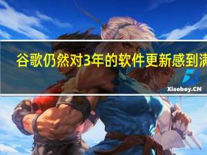 谷歌仍然对3年的软件更新感到满意