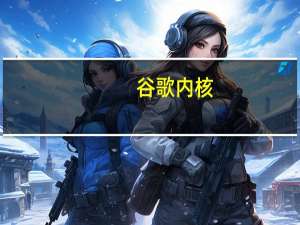 谷歌内核(Chrome)浏览器
