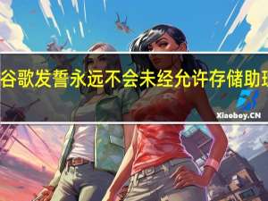 谷歌发誓永远不会未经允许存储助理录音