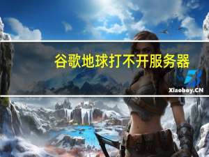 谷歌地球打不开服务器（谷歌怎么打不开）