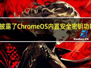 谷歌披露了Chrome OS内置安全密钥功能中的漏洞