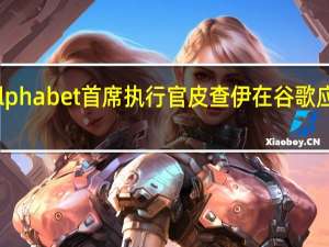 谷歌母公司Alphabet首席执行官皮查伊在谷歌应用商店审判中作证