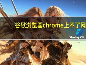 谷歌浏览器chrome上不了网